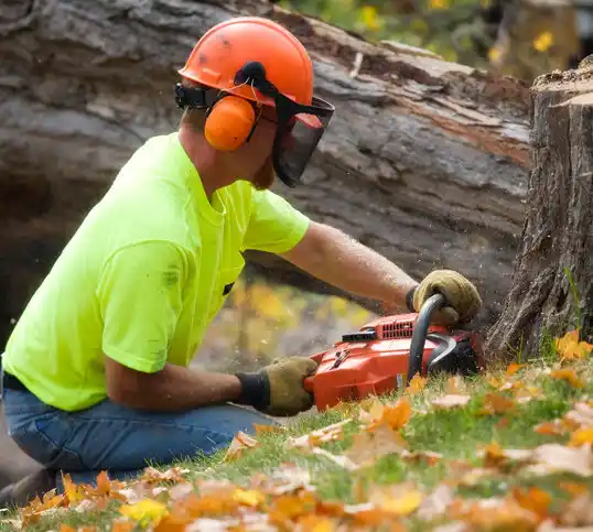 tree services Deerfield